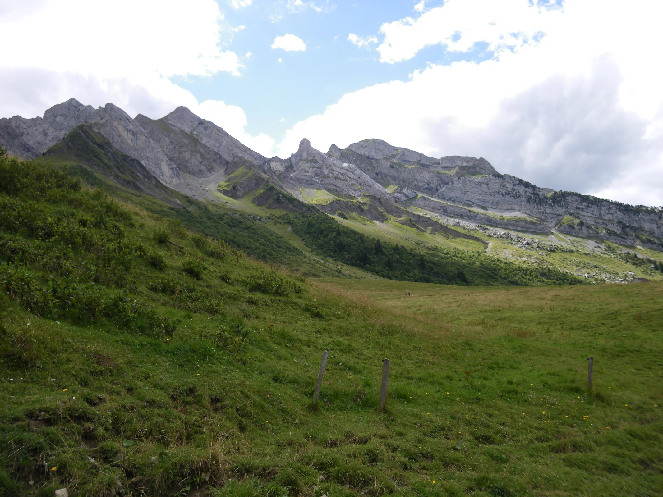 Die schroffen Aravis-Gipfel über grünen Almflächen