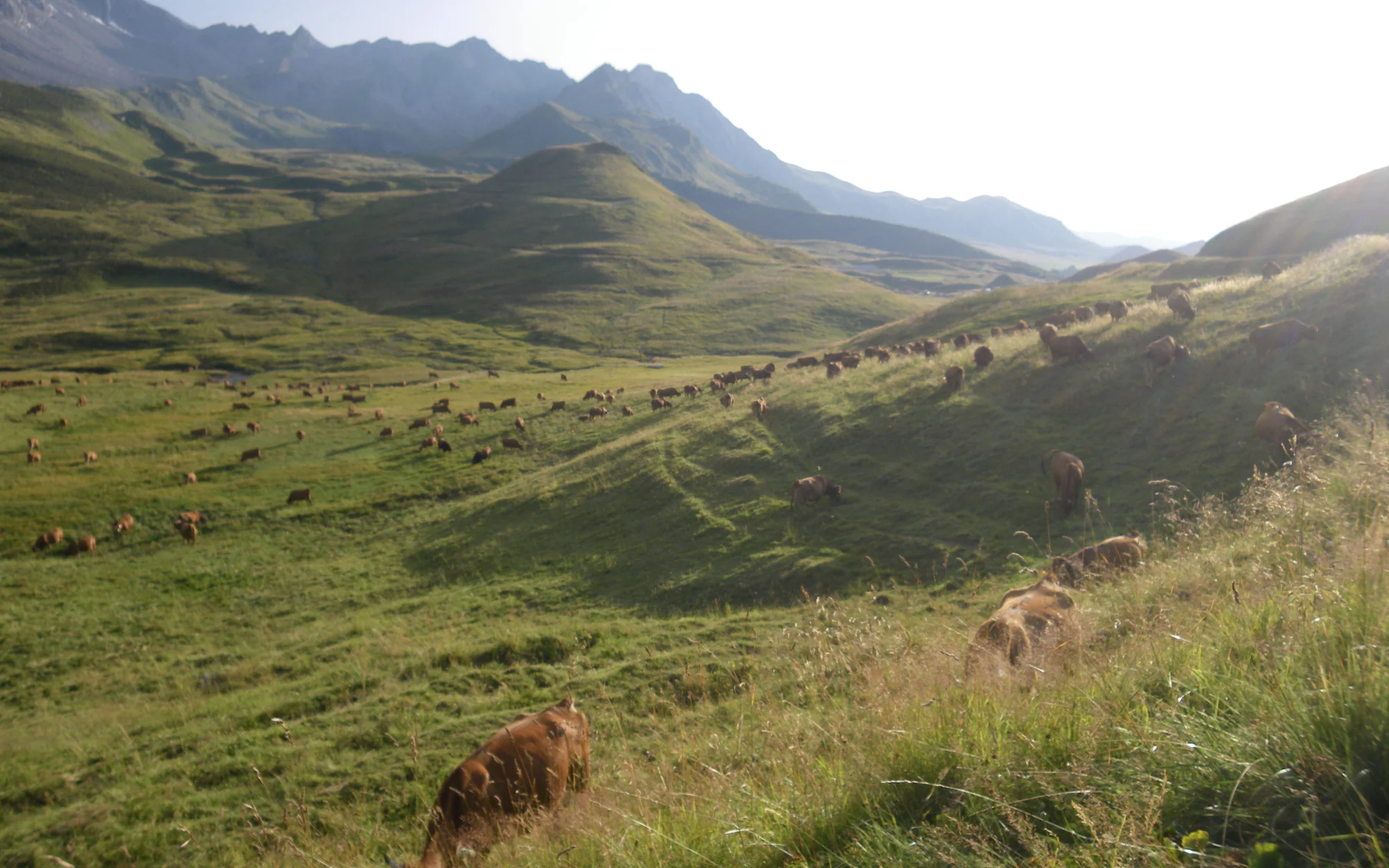 Cormet de Roselend auf der Route des Grandes Alpes